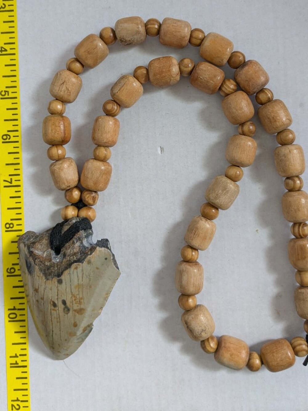 Large Megalodon Shark Fossilized Tooth On Wooden Beaded Necklace